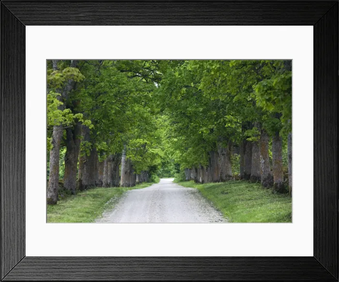 Framed Print : DDE-90035889 Framed Print : DDE-90035889