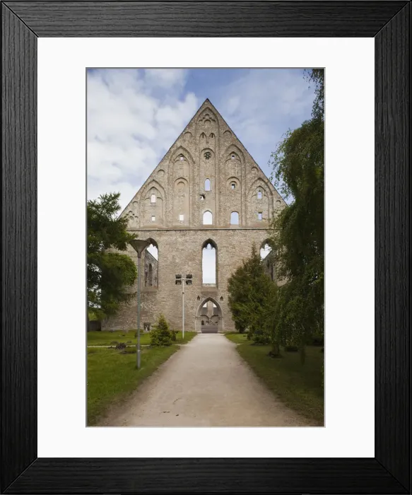 Framed Print : DDE-90035893 Framed Print : DDE-90035893