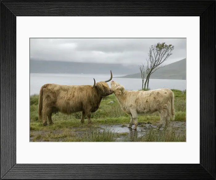 Framed Print : DDE-90035894 Framed Print : DDE-90035894