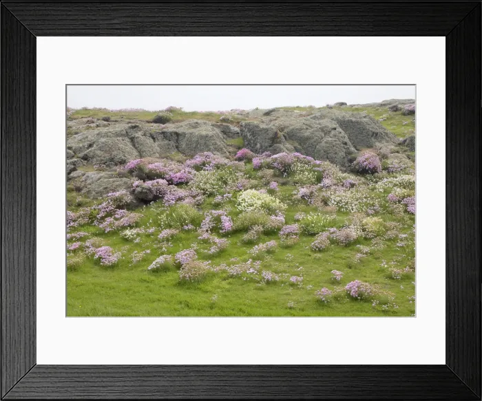 Framed Print : DDE-90035895 Framed Print : DDE-90035895