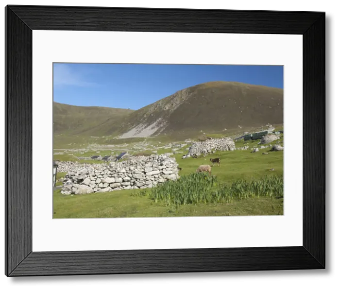 Framed Print : DDE-90035902 Framed Print : DDE-90035902