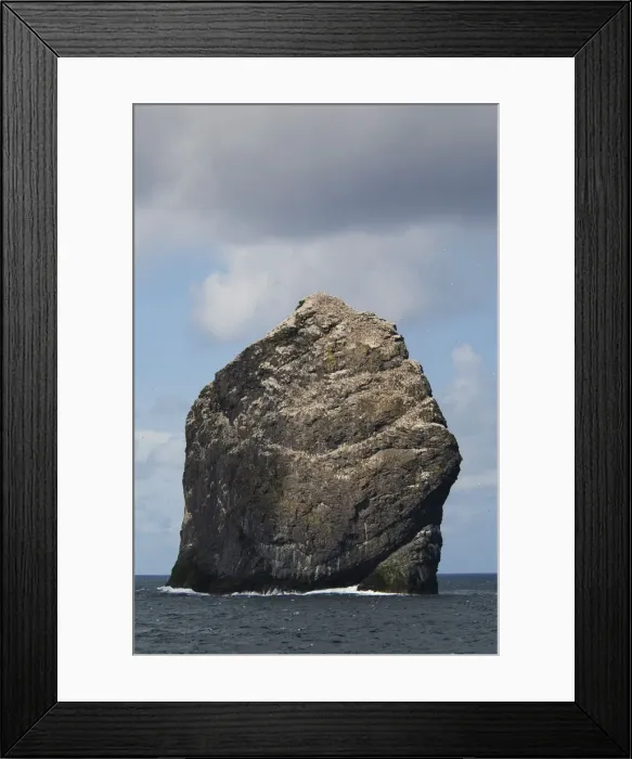 Framed Print : DDE-90035903 Framed Print : DDE-90035903