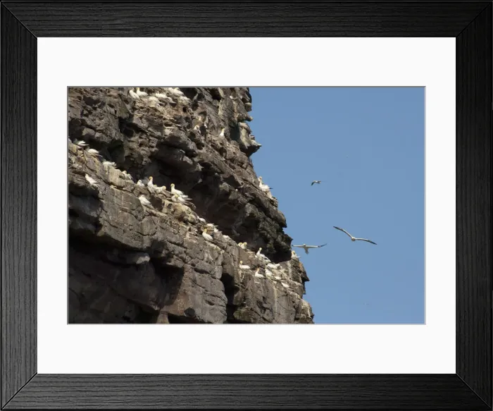 Framed Print : DDE-90035908 Framed Print : DDE-90035908