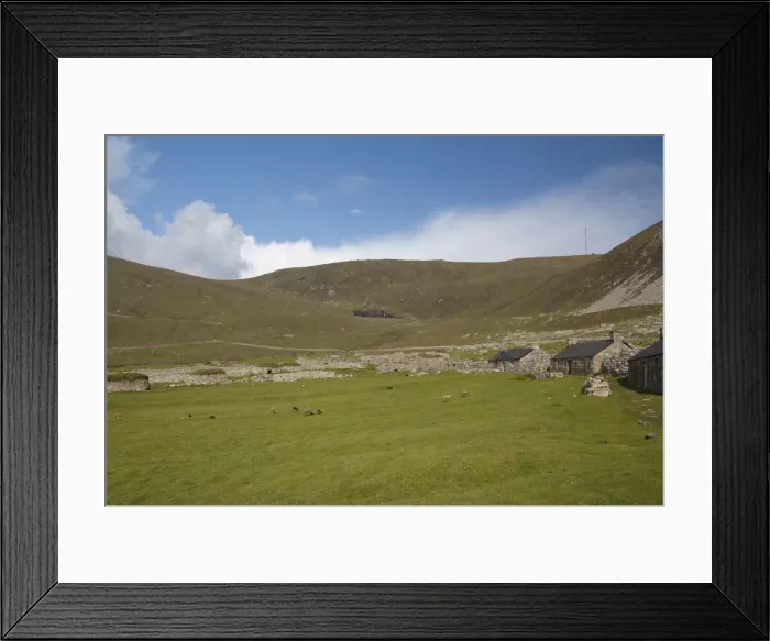 Framed Print : DDE-90035910 Framed Print : DDE-90035910