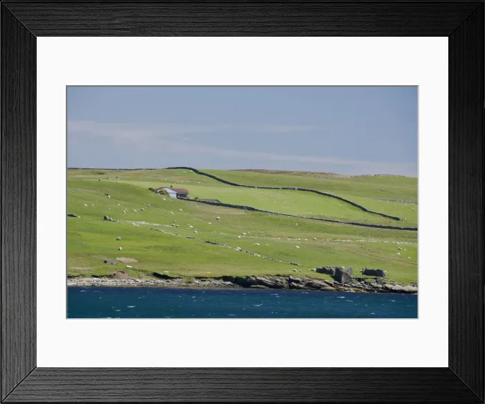 Framed Print : DDE-90035916