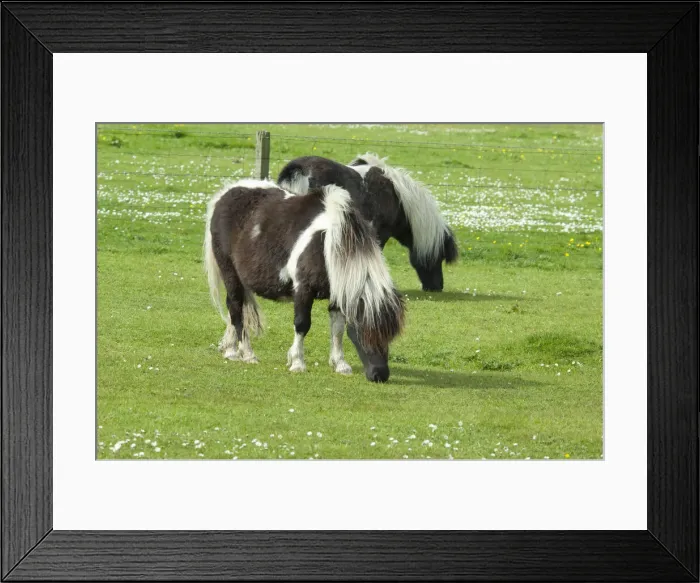 Framed Print : DDE-90035921 Framed Print : DDE-90035921