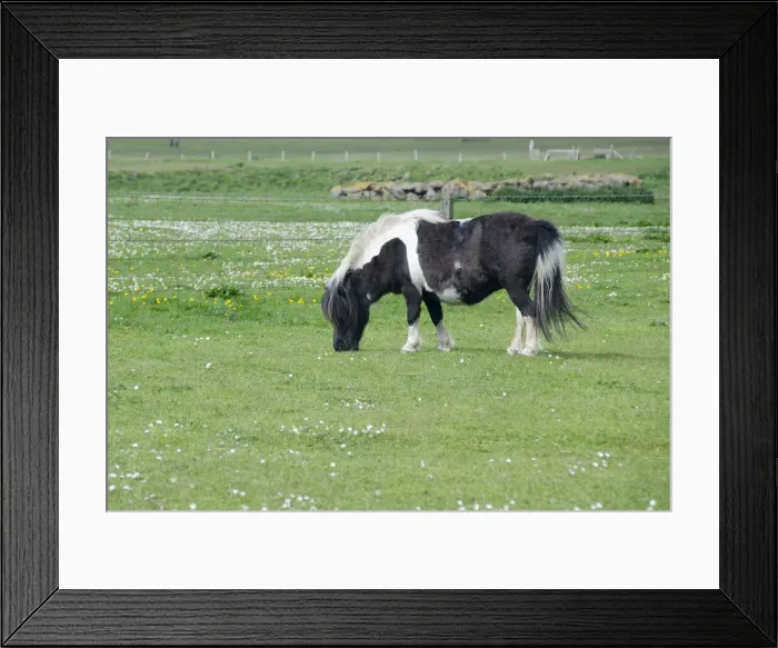 Framed Print : DDE-90035926