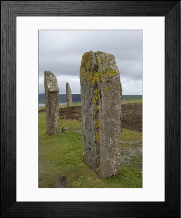 Framed Print : DDE-90035932 Framed Print : DDE-90035932