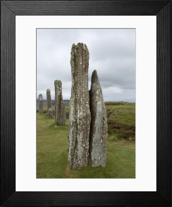Framed Print : DDE-90035933 Framed Print : DDE-90035933