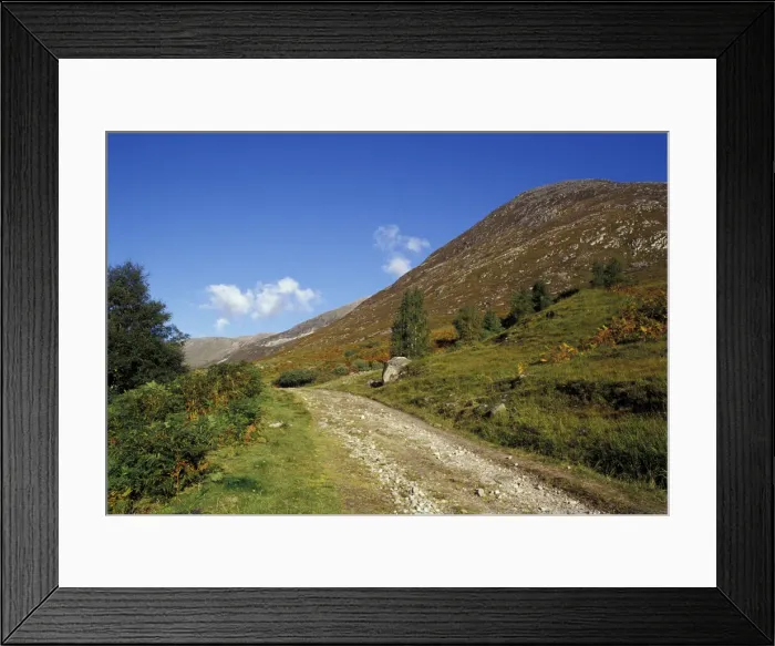 Framed Print : DDE-90035975 Framed Print : DDE-90035975