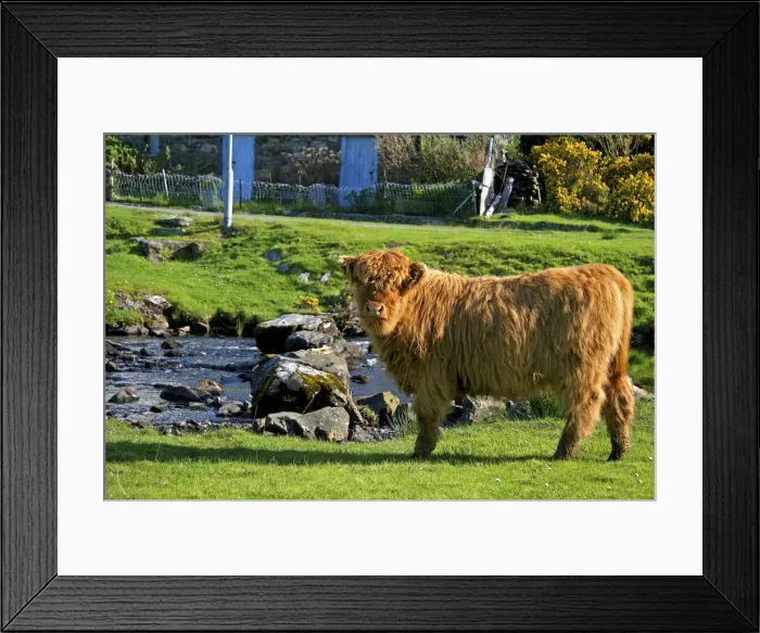 Framed Print : DDE-90035992
