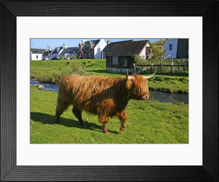 Framed Print : DDE-90035993 Framed Print : DDE-90035993
