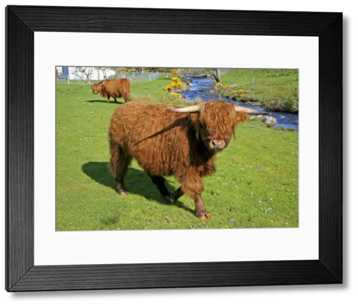 Framed Print : DDE-90035994 Framed Print : DDE-90035994