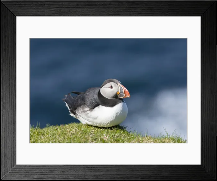 Framed Print : DDE-90036004 Framed Print : DDE-90036004