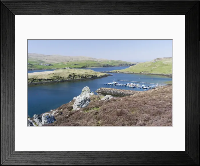 Framed Print : DDE-90036008