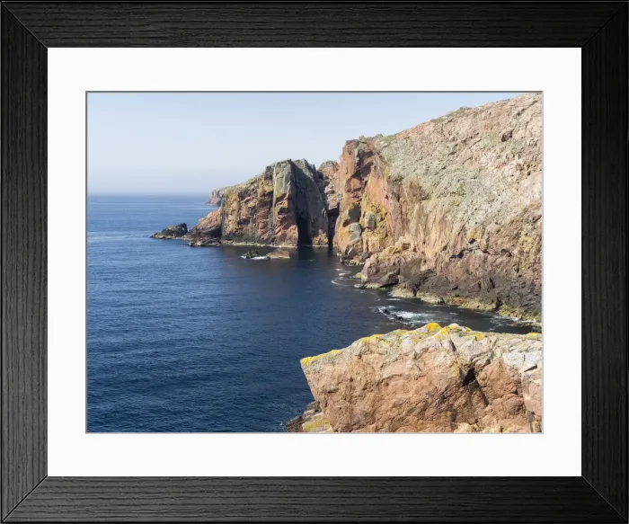 Framed Print : DDE-90036014