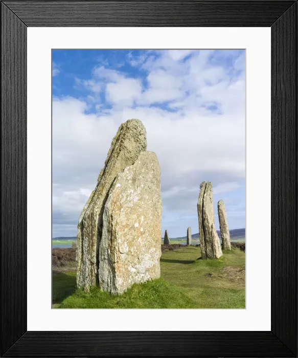 Framed Print : DDE-90036022 Framed Print : DDE-90036022