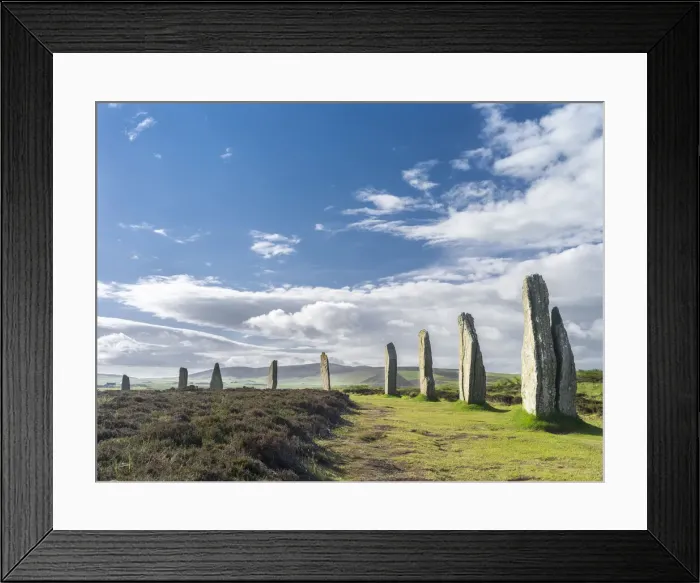 Framed Print : DDE-90036024 Framed Print : DDE-90036024