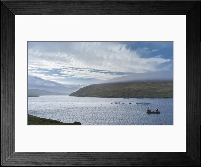 Framed Print : DDE-90036033 Framed Print : DDE-90036033