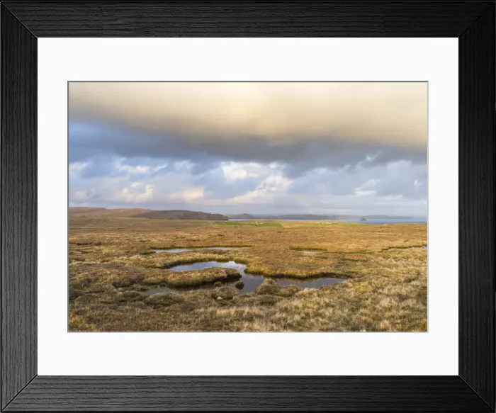 Framed Print : DDE-90036038 Framed Print : DDE-90036038