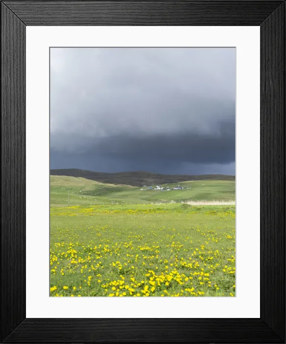 Framed Print : DDE-90036040 Framed Print : DDE-90036040