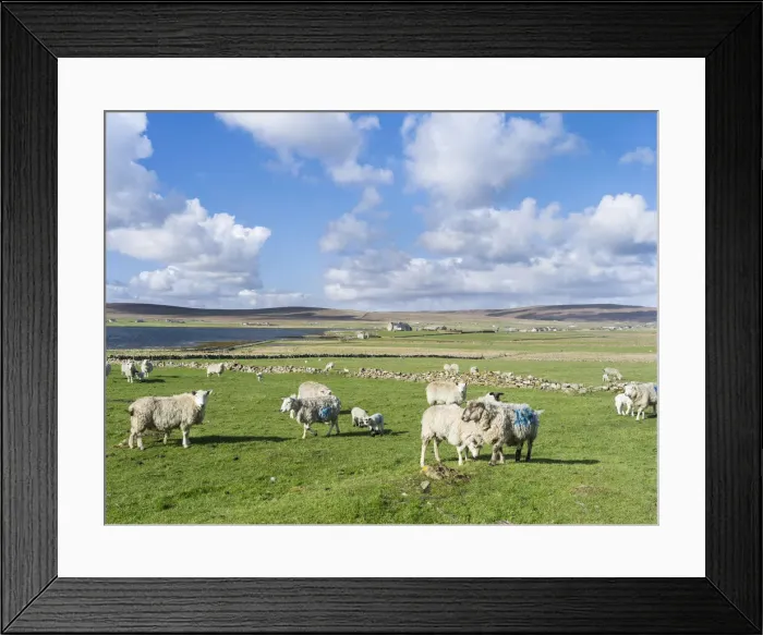 Framed Print : DDE-90036059