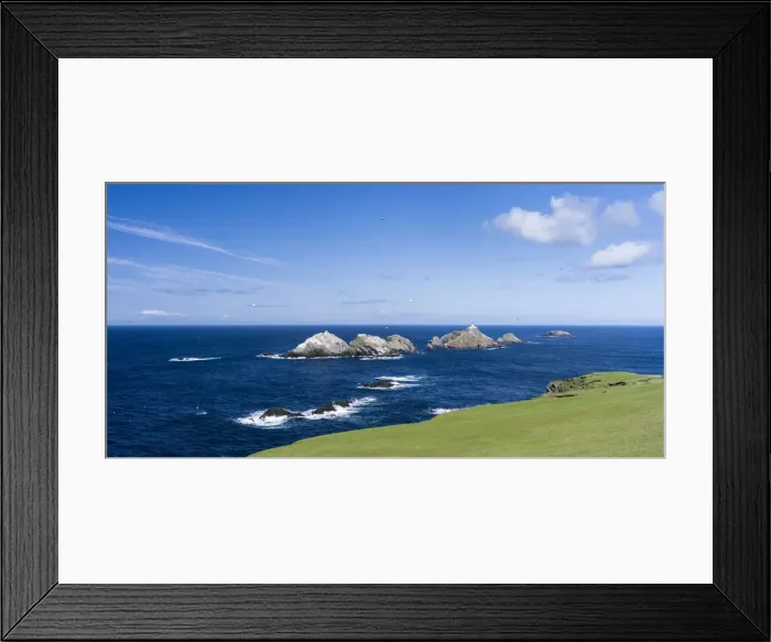 Framed Print : DDE-90036064 Framed Print : DDE-90036064