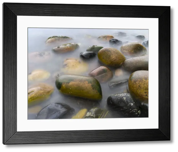 Framed Print : DDE-90036075 Framed Print : DDE-90036075