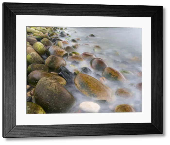 Framed Print : DDE-90036076