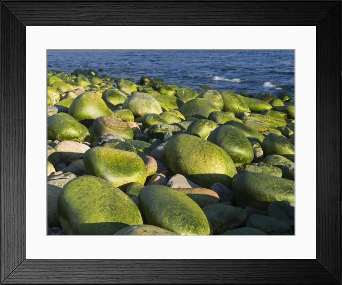 Framed Print : DDE-90036079 Framed Print : DDE-90036079