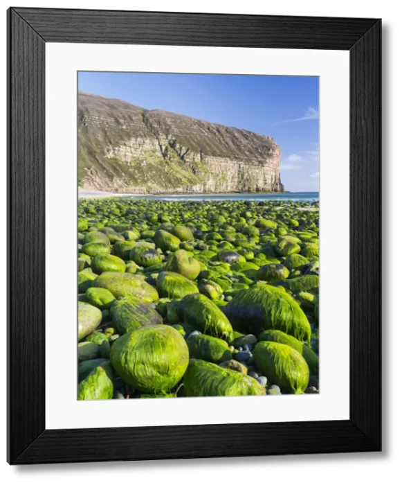 Framed Print : DDE-90036080