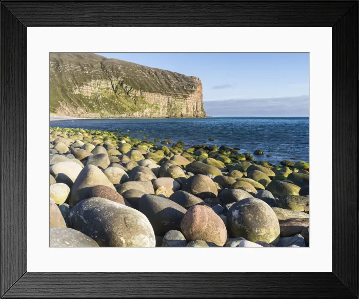 Framed Print : DDE-90036082