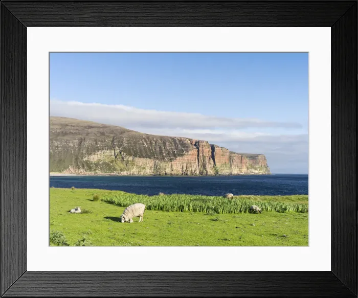 Framed Print : DDE-90036086 Framed Print : DDE-90036086