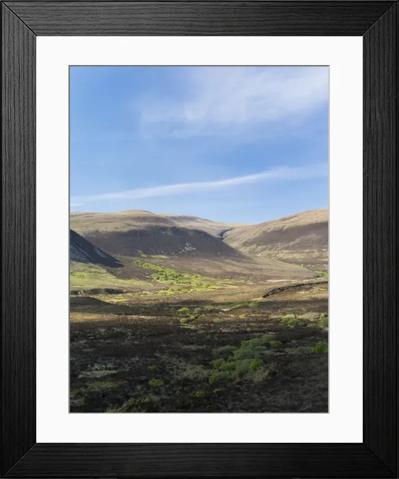 Framed Print : DDE-90036088