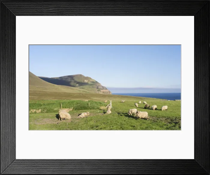 Framed Print : DDE-90036089 Framed Print : DDE-90036089