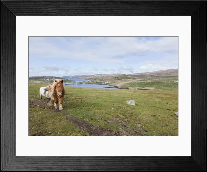 Framed Print : DDE-90036094 Framed Print : DDE-90036094