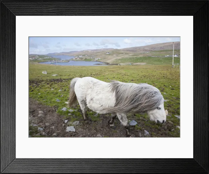 Framed Print : DDE-90036095 Framed Print : DDE-90036095
