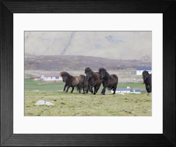 Framed Print : DDE-90036097 Framed Print : DDE-90036097