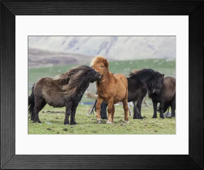 Framed Print : DDE-90036099 Framed Print : DDE-90036099