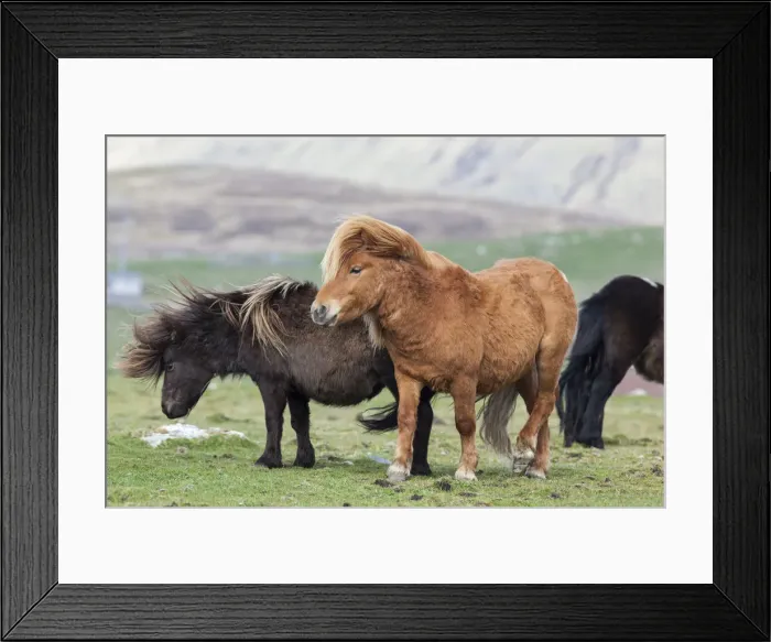 Framed Print : DDE-90036100 Framed Print : DDE-90036100
