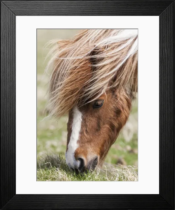 Framed Print : DDE-90036104 Framed Print : DDE-90036104