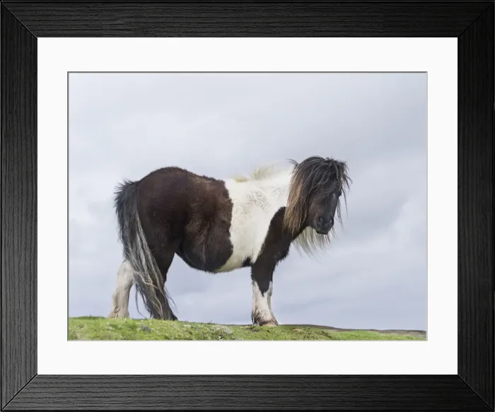 Framed Print : DDE-90036106 Framed Print : DDE-90036106