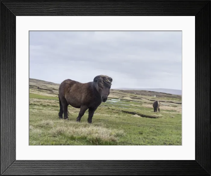 Framed Print : DDE-90036105 Framed Print : DDE-90036105