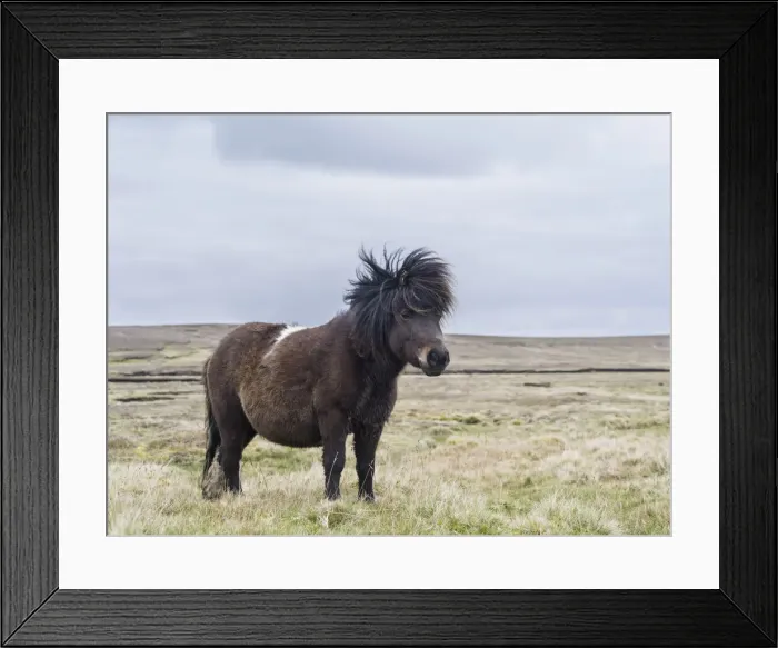 Framed Print : DDE-90036107 Framed Print : DDE-90036107