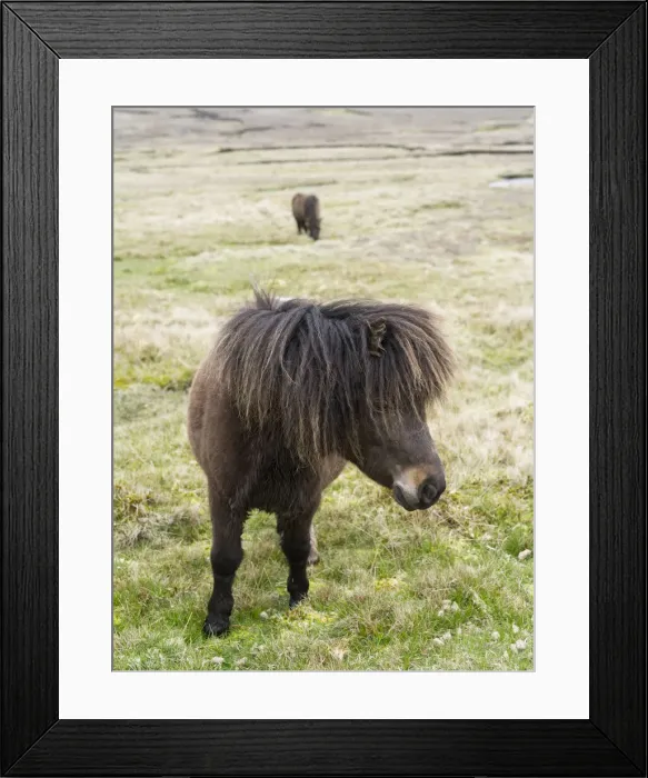 Framed Print : DDE-90036109 Framed Print : DDE-90036109