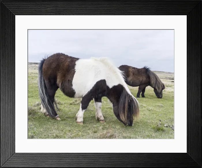 Framed Print : DDE-90036110