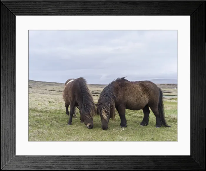 Framed Print : DDE-90036111 Framed Print : DDE-90036111