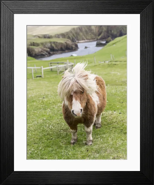 Framed Print : DDE-90036112