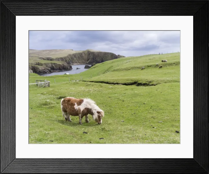 Framed Print : DDE-90036113
