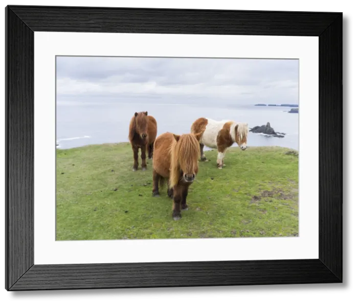 Framed Print : DDE-90036114 Framed Print : DDE-90036114